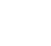 Logo Dino Zoli
