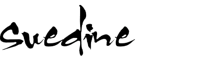 Logo Suedine