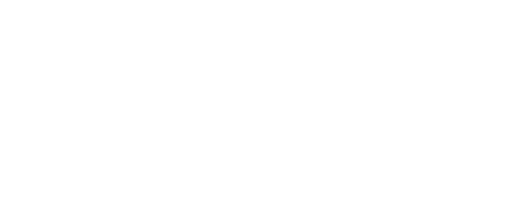 Logo Vertice