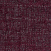 BREEZE VIVACE-009