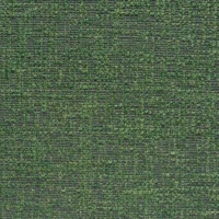 BREEZE VIVACE-038