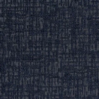 BREEZE VIVACE-041