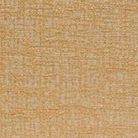 BREEZE VIVACE-069
