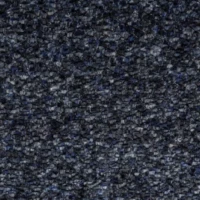 RICCO-015