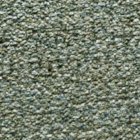 RICCO-016