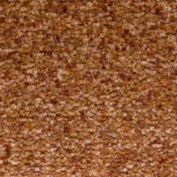 RICCO-081